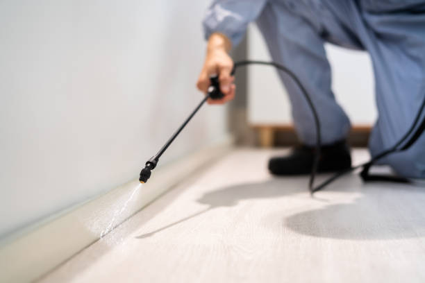 Bed Bug Pre-Treatment Preparation Assessment in Shrewsbury