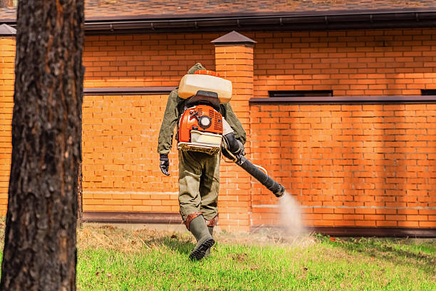 Bed Bug Clearance Verification and Documentation in Shrewsbury